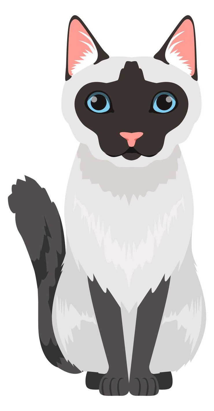 Vector gato siamés, icono, sentado, caricatura, mascota, animal