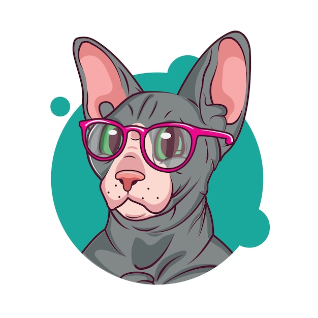 gato sphynx con gafas