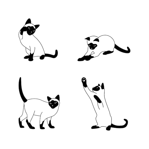 Gato tailandés vector set gatos en diferentes poses
