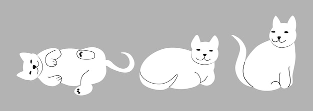 Gatos blancos en diferentes poses Gatos durmiendo y sentados