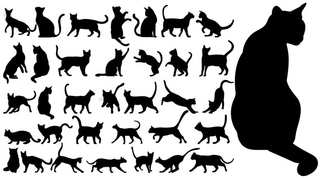 gatos, conjunto, negro, silueta, aislado, vector