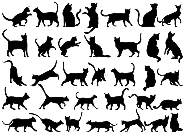 gatos, conjunto, silueta, aislado, vector