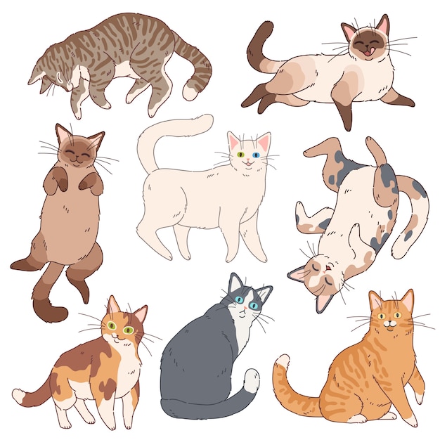 Gatos de dibujos animados. lindos gatitos de diferentes colores, gracioso  gato perezoso. adorables mascotas juguetonas, hogar feliz simple divertido  conjunto de animales cómicos | Vector Premium