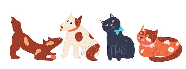 Gatos domésticos y perros de pie en fila ilustración vectorial de dibujos animados plana aislada