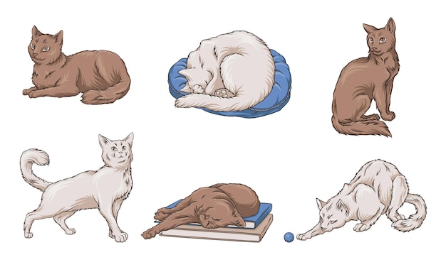 Los gatos duermen en un puff azul una pila de libros juega con una pelota ilustración vectorial