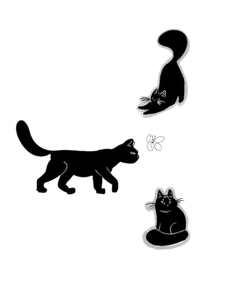 Los gatos negros caminando