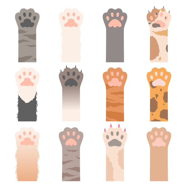 Vector gatos de pata. animales lindos manos gatos salvajes garras personajes de dibujos animados. pata de gato de ilustración, animal