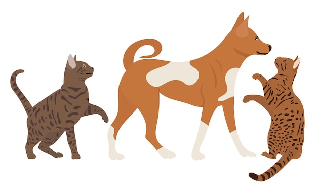 Gatos y perros en vector aislado de estilo plano