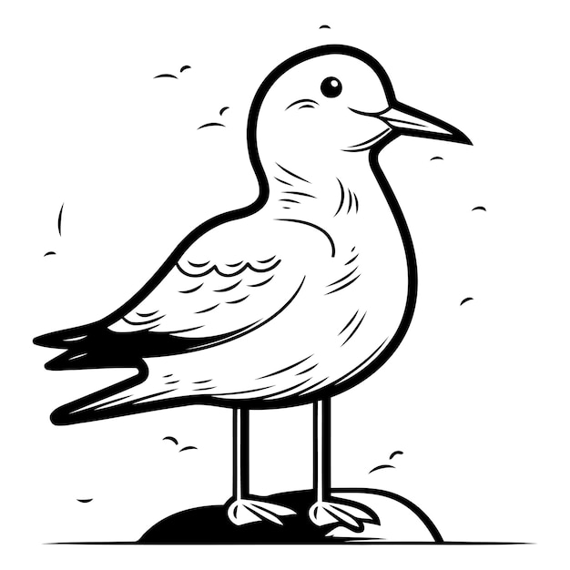 Vector la gaviota en la roca ilustración vectorial de un pájaro