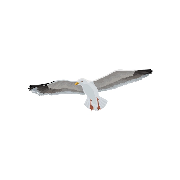 Gaviota volando en el cielo gris y blanco mar pájaro vector ilustración sobre un fondo blanco