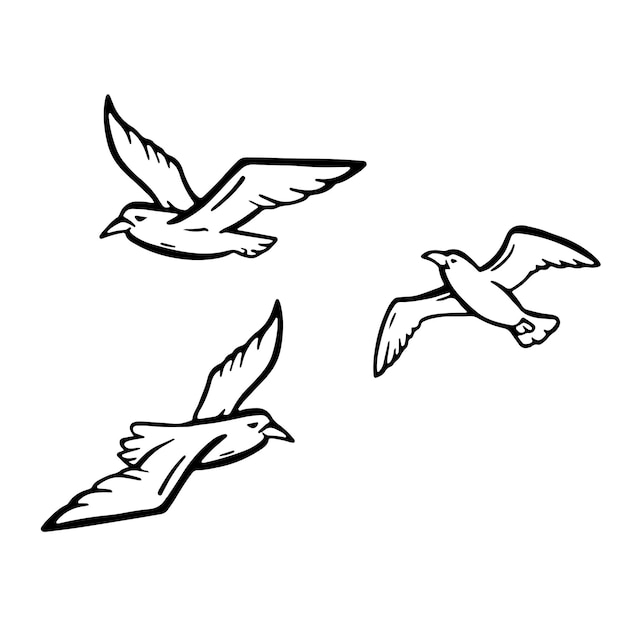 la gaviota en vuelo ilustración de línea hecha a mano