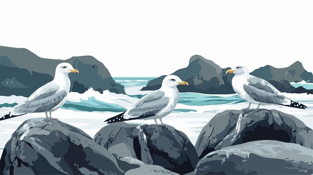 Las gaviotas sentadas en las rocas de la bahía de Owhiro, en Nueva Zelanda