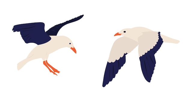 gaviotas volando en estilo plano sobre vector de fondo blanco