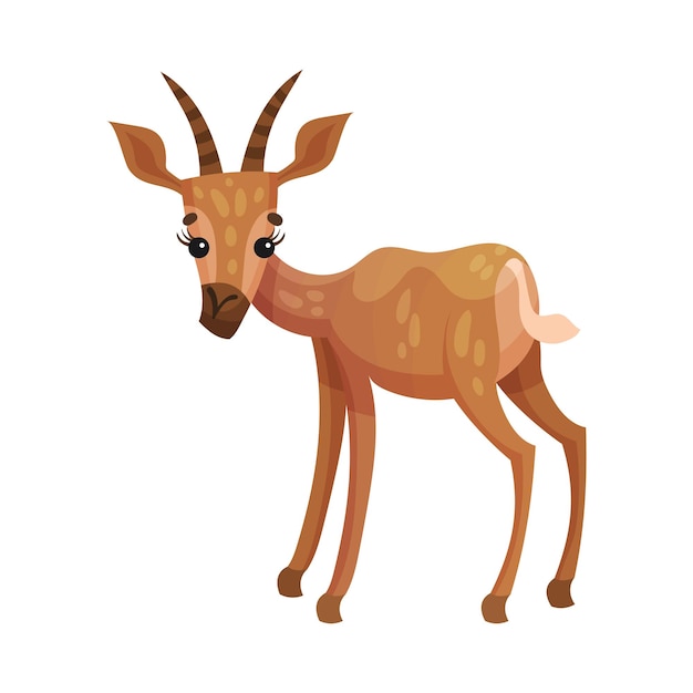 Vector gazela o antílope con cuernos como ilustración vectorial de animales africanos