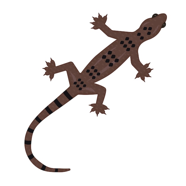 Vector gecko leopardo marrón, linda ilustración colorida