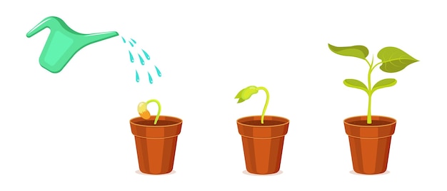 Germinación de plántulas en riego de macetas