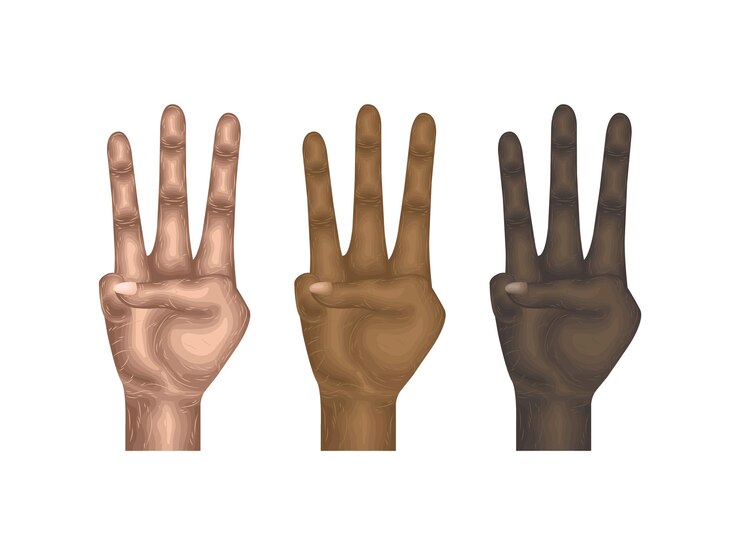 Vector gesto lenguaje mano vector cuerpo brazo signo dedo partes modelaje anatomía cobro piel humano idea arriba