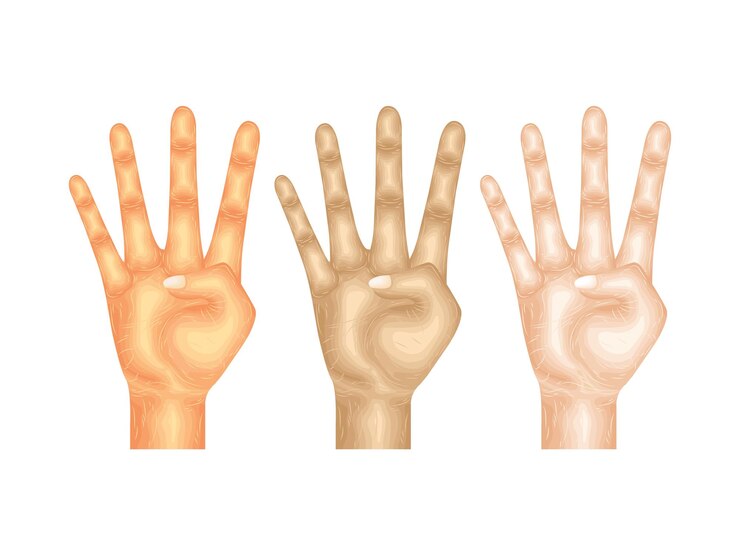 Vector gesto lenguaje mano vector cuerpo brazo signo dedo partes modelaje anatomía cobro piel humano idea arriba