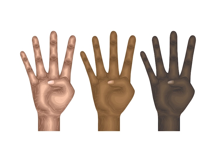 Vector gesto lenguaje mano vector cuerpo brazo signo dedo partes modelaje anatomía cobro piel humano idea arriba
