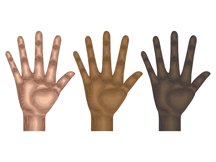 Vector gesto lenguaje mano vector cuerpo brazo signo dedo partes modelaje anatomía cobro piel humano idea arriba