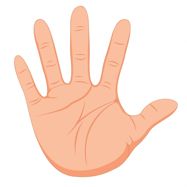 Vector gesto de la mano con piel suave