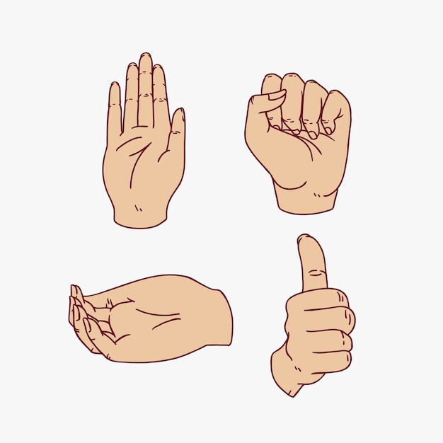 Gestos de ilustración de mano