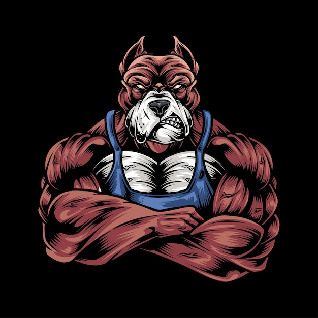 Gimnasio para perros terrible