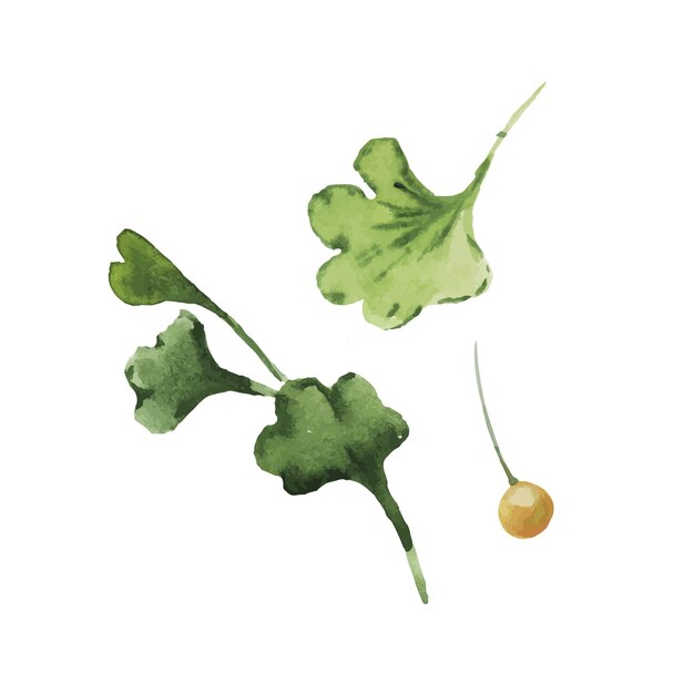 Ginkgo biloba ilustración acuarela dibujada a mano imprimir fondo de tarjeta postal textil