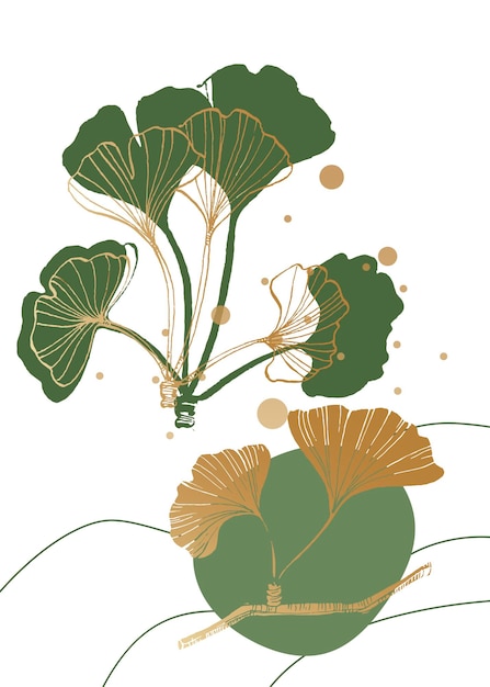 Vector ginkgo ilustraciones pintadas a mano para decoración de paredes flor minimalista en estilo boceto