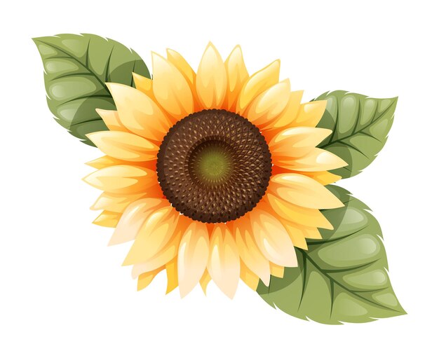 Girasol aislado con hojas verdes ilustración vectorial