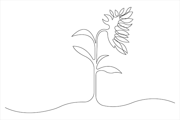 Girasol continuo un solo dibujo de una línea de arte contorno de arte vectorial diseño de ilustración minimalista