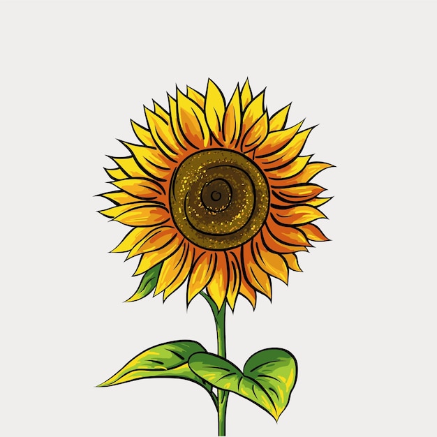 Vector girasol dibujado a mano aislado sobre fondo blanco