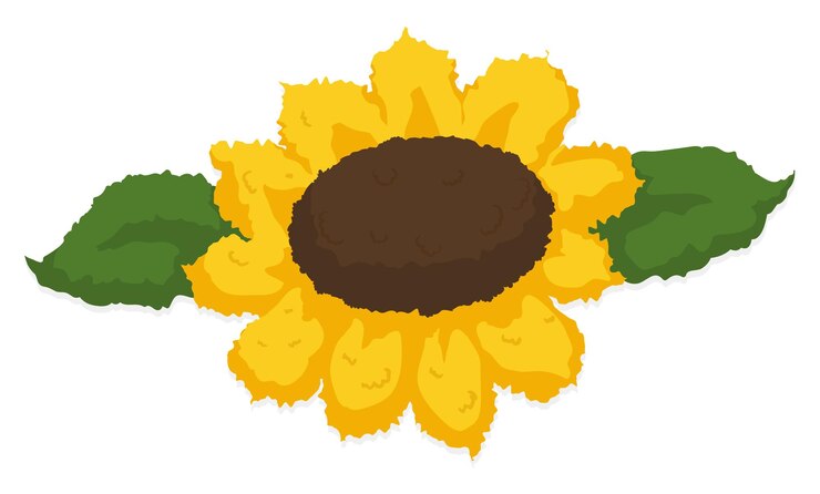 Vector girasol y dos hojas en un diseño de textura lujosa en estilo de dibujos animados aislado sobre fondo blanco.