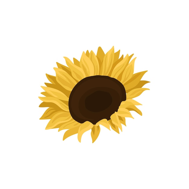 Girasol fuente de aceite comestible vector ilustración sobre un fondo blanco