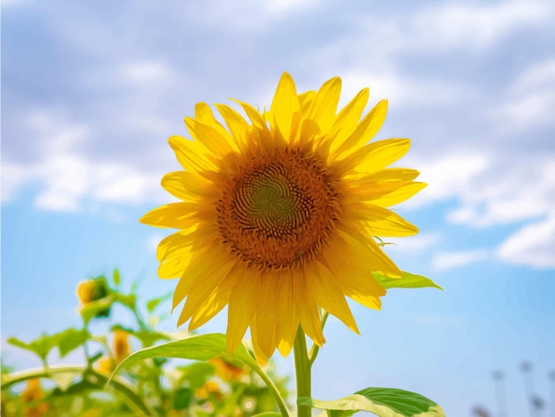 Girasol en la ilustración de vector realista de campo