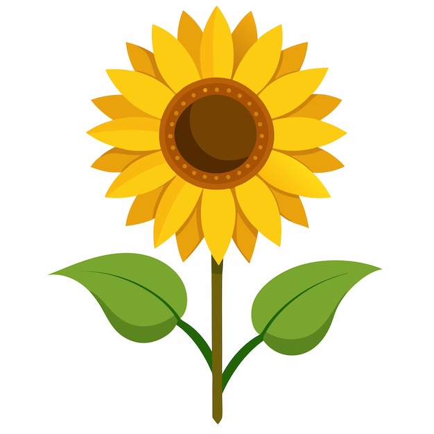 un girasol con un parche marrón en él