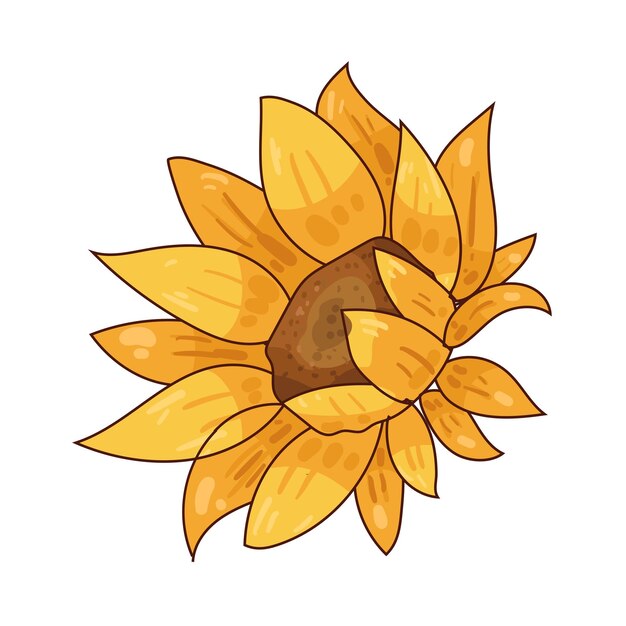 Girasol y sus derivados