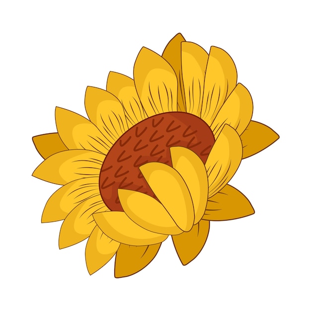 Girasol y sus derivados