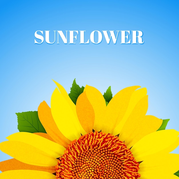 Girasol en vector de fondo azul