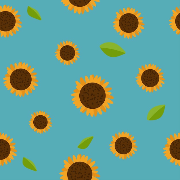 Girasol vectorial aislado sobre fondo azul. Ilustración de girasol plana dibujada a mano. flor de verano