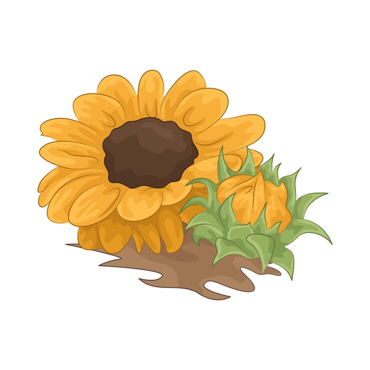 Vector girasol