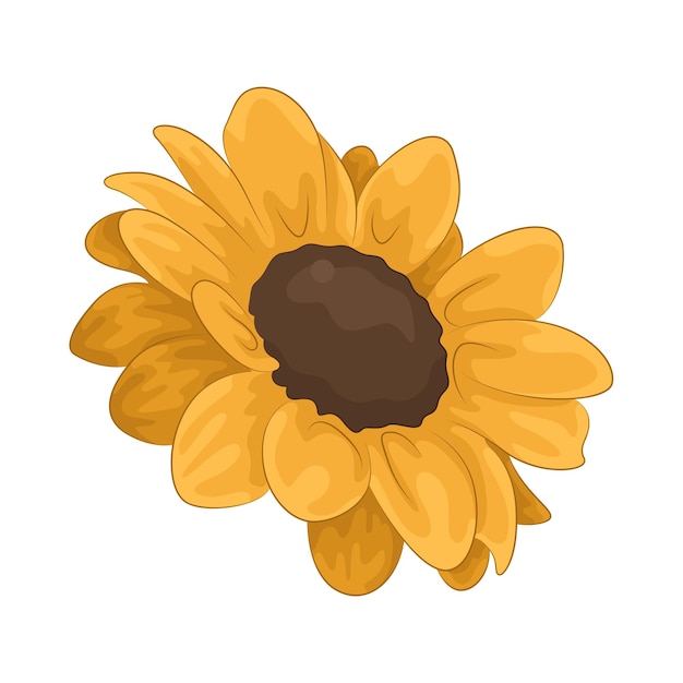 Girasol
