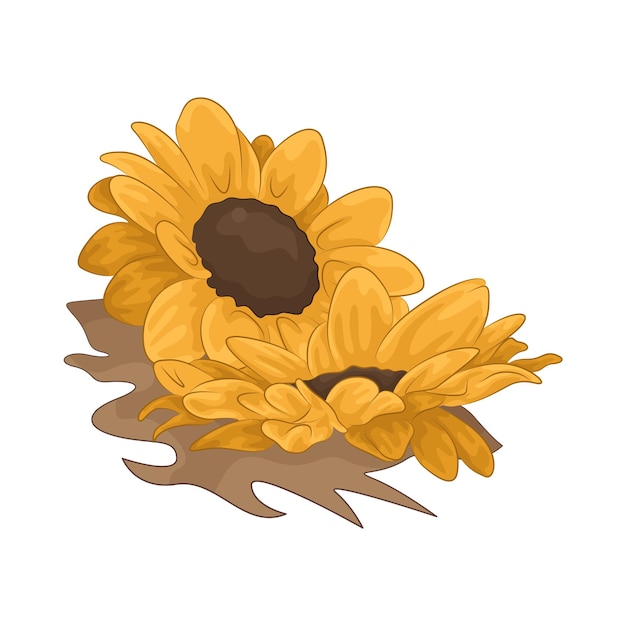 Girasol