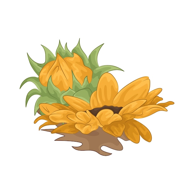 Girasol