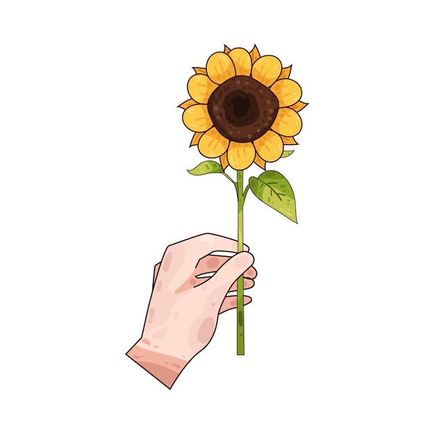 Girasol