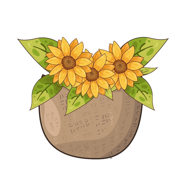 Girasol