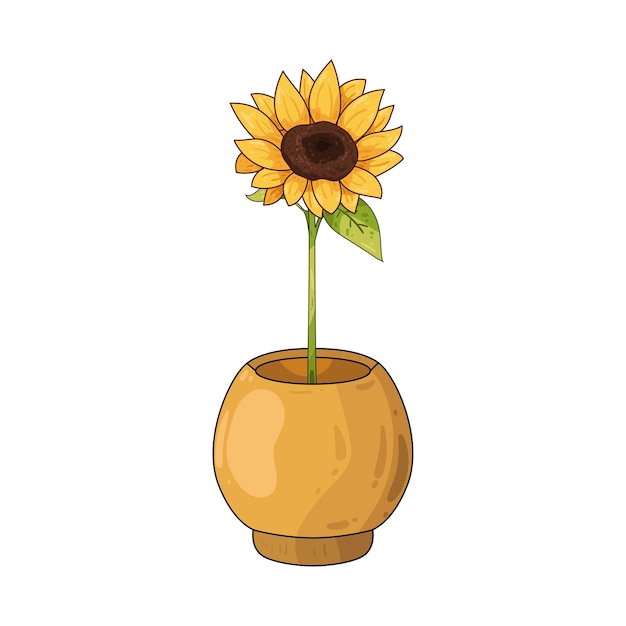 Girasol