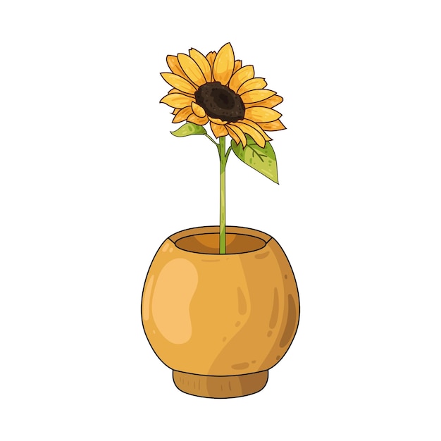 Girasol