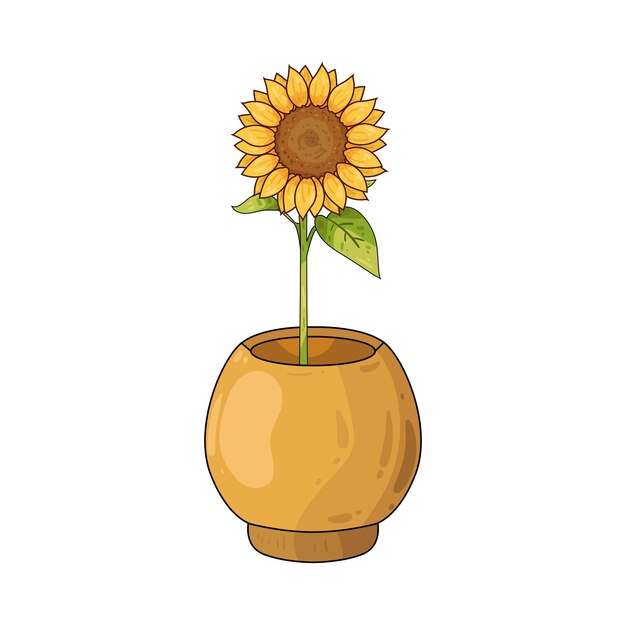 Girasol