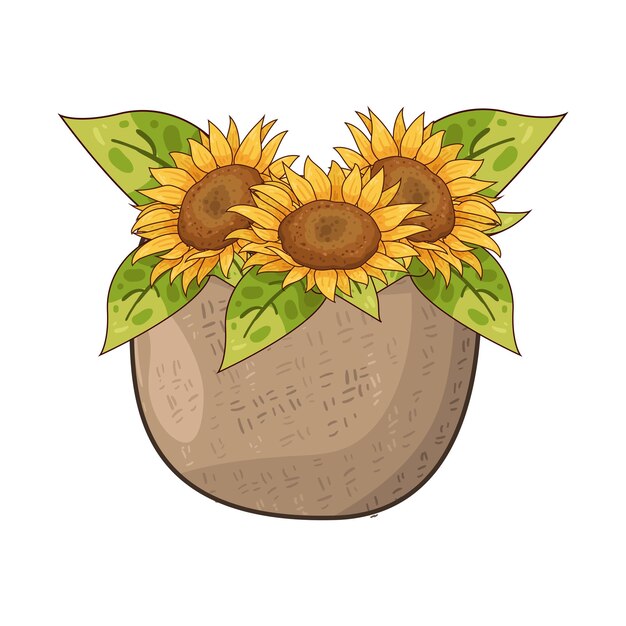 Girasol